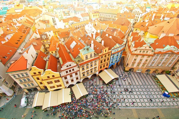 Discover Krakow on a $50 Budget: An Unforgettable Day of Polish Adventures