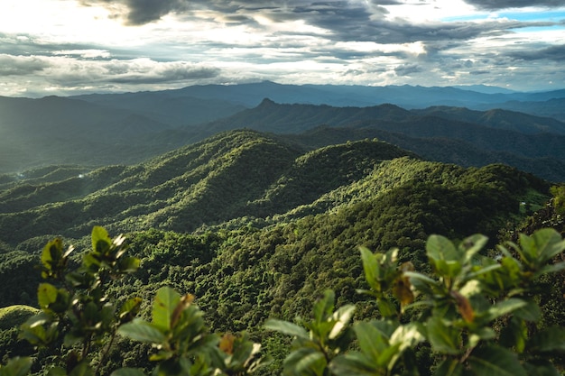 Discover the Vibrant Charm of Salento, Colombia: A Hidden Gem Awaiting Your Adventure