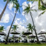 Moi International Airport (MBA) in Mombasa: Your Gateway to Kenyan Coastal Paradise