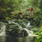 Discover the Majestic Gocta Waterfall in Amazonas, Peru