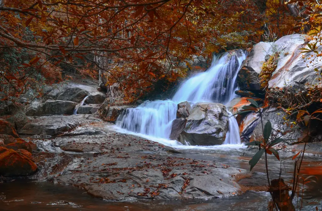 Discover the Majestic Beauty of Vernal Fall in Yosemite National Park