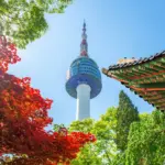 Unleash the Magic of Seoul: A Travel Adventure Like No Other