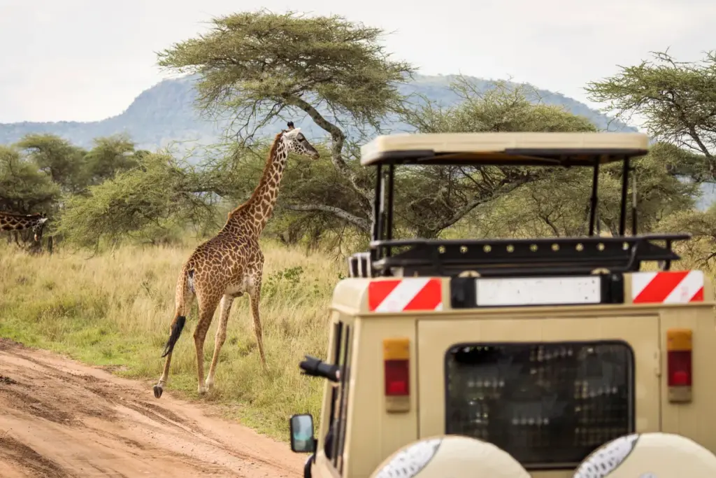 Nairobi: The Ultimate African Adventure Awaits You