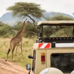 Nairobi: The Ultimate African Adventure Awaits You