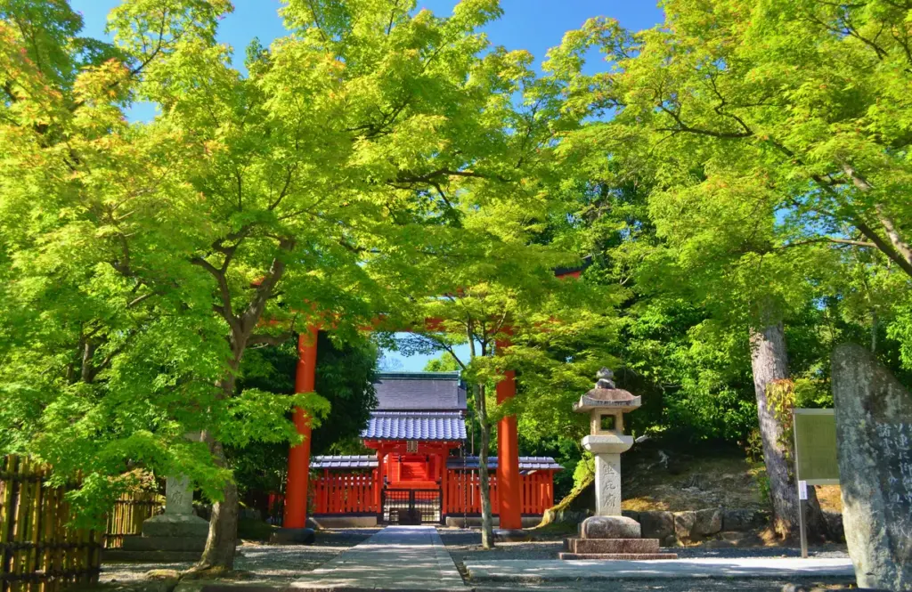 3 Unique Neighborhoods to Wander in Tokyo